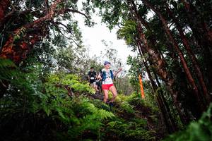 BIB: 
                            <button type="button" onclick="openModal(26202394)" class="btn btn-primary btn-sm float-right btn-popup" data-toggle="modal" data-target=".modal-high-quality">
                        <i class="fas fa-shopping-cart"></i> Add to Cart
                    </button>
                                            <button type="button" onclick="isThisMe(26202394, true)" class="btn btn-success btn-sm float-right btn-popup btn-isme hidden" data-toggle="tooltip" data-placement="bottom" title="นี่คือรูปของคุณใช่ไหม คลิกที่นี่เพื่อเอาเข้าอัลบั้ม">
                        <i class="fas fa-plus"></i> Add to album
                    </button>
                    <button type="button" onclick="isThisMe(26202394, false)" class="btn btn-warning btn-sm float-right btn-popup btn-isnotme hidden">
                        <i class="fas fa-ban"></i> Remove from album
                    </button>